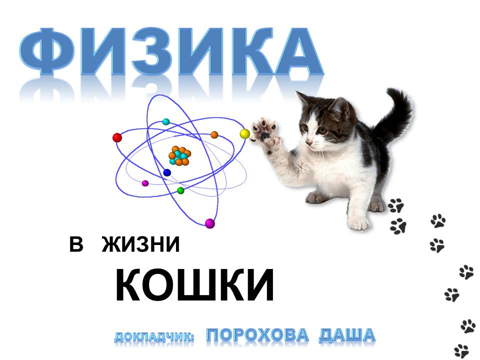 Включи дашу кошку